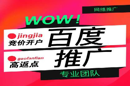 SEM托管服务，实战案例展示营销效果